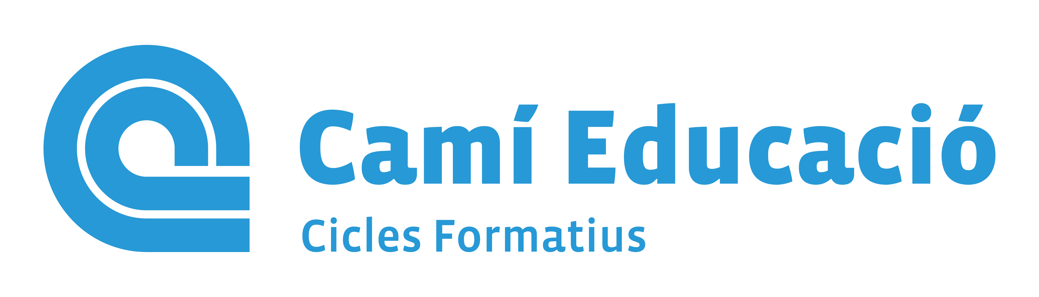 Colegio Camí